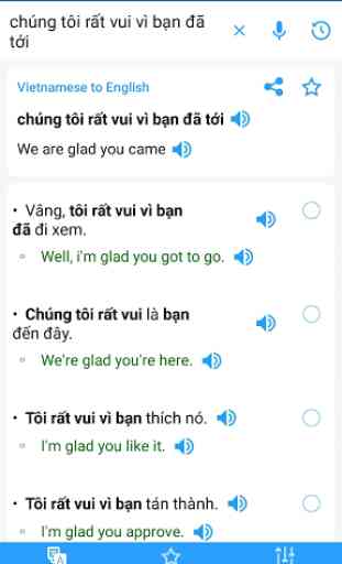 Vietnamese Translator Offline 2