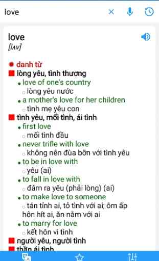 Vietnamese Translator Offline 3