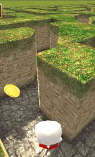 Maze Cartoon labyrinth 3D HD 1