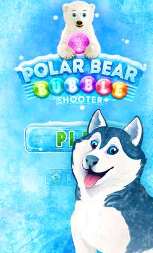 Polar Bear : Frozen Bubble Shooter 1