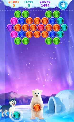 Polar Bear : Frozen Bubble Shooter 3