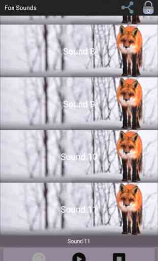 Fox Sounds 3