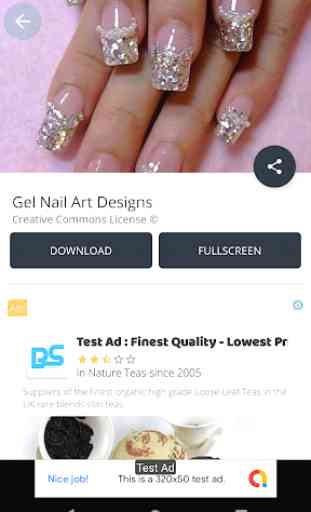 Gel Nail Art Designs 3
