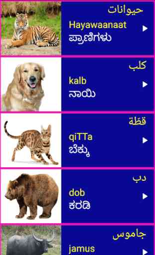 Learn Arabic From Kannada 1