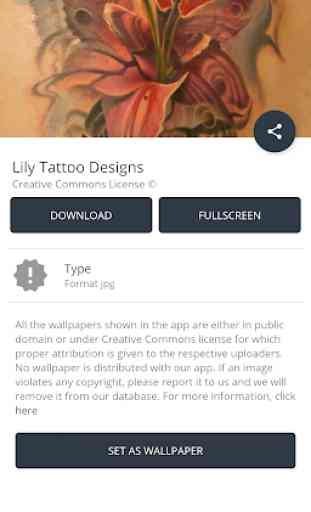 Lily Tattoo Designs 3