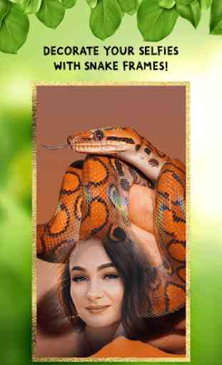 Marcos para fotomontaje serpiente 2