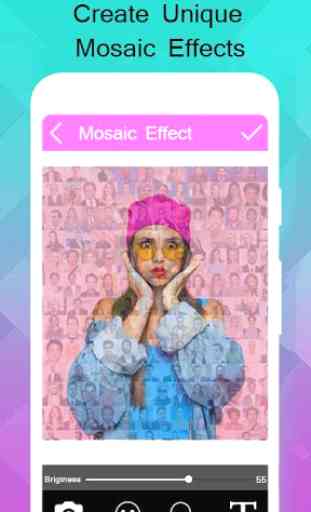 Mosaic Photo Effects : smallest collage art effect 2