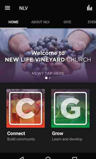 New Life Vineyard 1