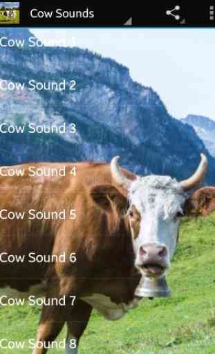 Sonidos Vaca 1