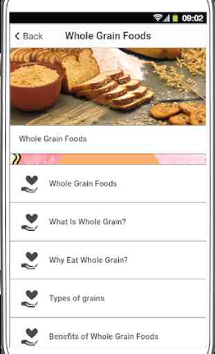 Whole Grain foods 4