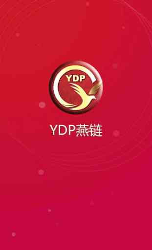 YDP E-Wallet 1