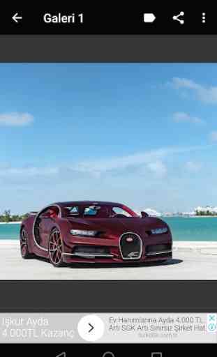 +100 Bugatti 2