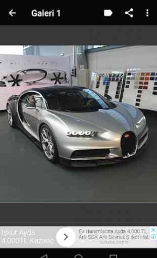 +100 Bugatti 3