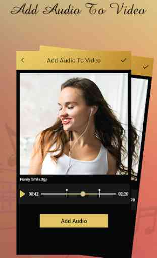 Add Audio To Video 1