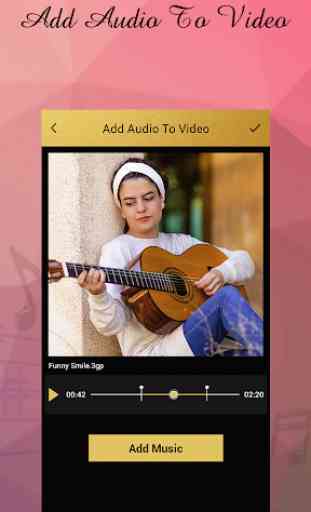 Add Audio To Video 2