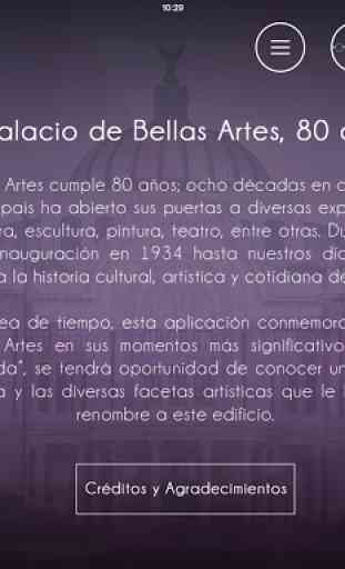 Bellas Artes 80 años 3