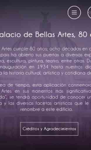 Bellas Artes 80 años 4