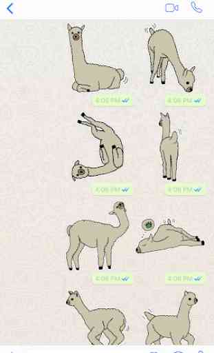 Chewy - Alpaca Stickers for Whatsapp 1