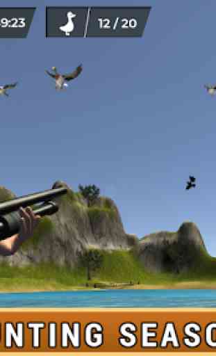 Duck Hunt - Adventure: Bird Hunting 3