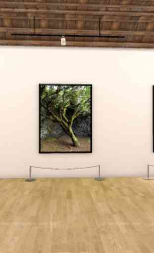 Galería Arte Virtual VR Museo - El Hierro Canarias 1