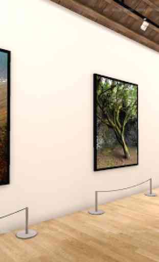 Galería Arte Virtual VR Museo - El Hierro Canarias 2