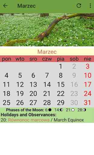 Kalendarz Polski 2020 4