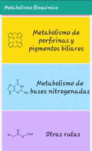 Metabolismo Bioquímico 3