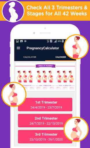 Pregnancy calculator and calendar, Due date 3