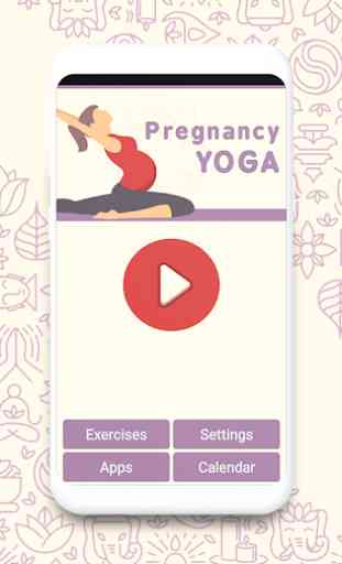 Pregnancy Workouts 4