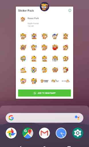 Rawai Park Tiger - Stickers for WhatsApp 2