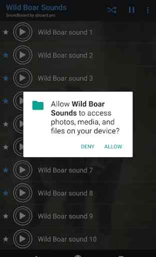 Wild Boar ~ Suena Sboard.pro 2