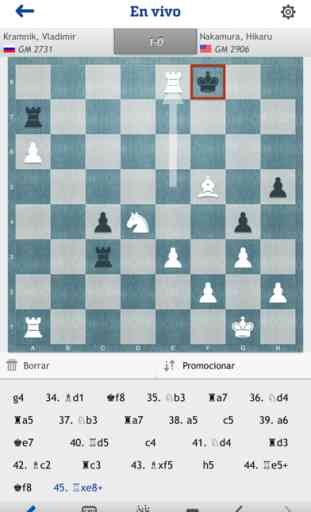 chess24 4