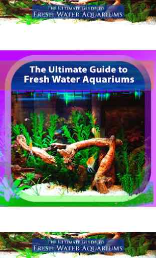 Guide to Freshwater Aquariums 1