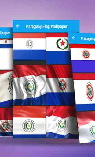 Paraguay Flag Wallpaper 3