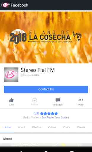 Stereo Fiel Radio 4