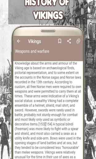 Vikings History 3