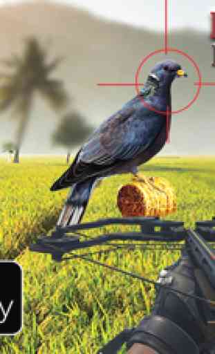 Spy Pigeon Bowhunting 3D 1