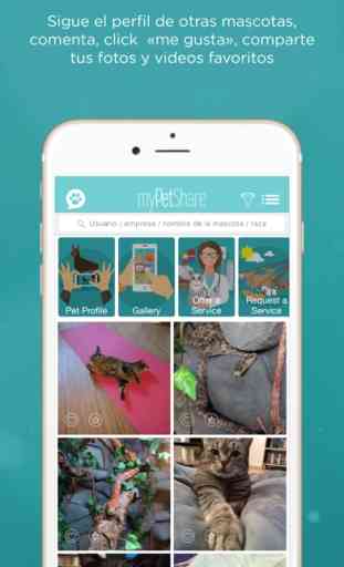 myPetShare - Pet Social Media 1