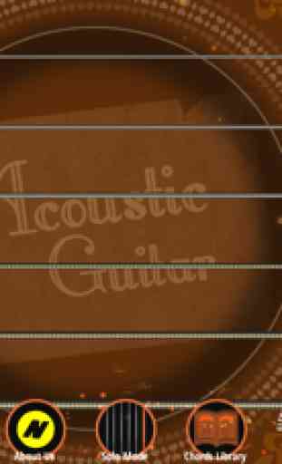The Best Acoustic Guitar 1