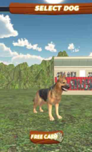 Torneo 3D Racing perro virtual y Dobles 2017 1