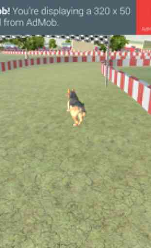 Torneo 3D Racing perro virtual y Dobles 2017 2