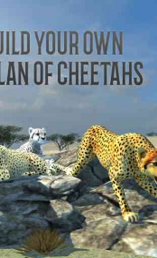 Clan of Cheetahs 3