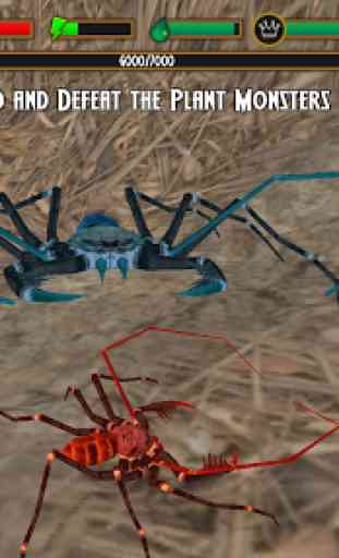 Life of Phrynus - Whip Spider 4