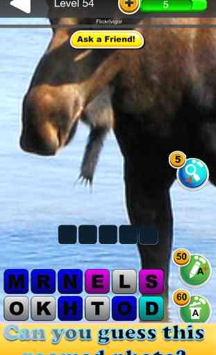 Zoomed Pic  - Guess the Close Up Animals Photo In this Brand New Trivia Game 1