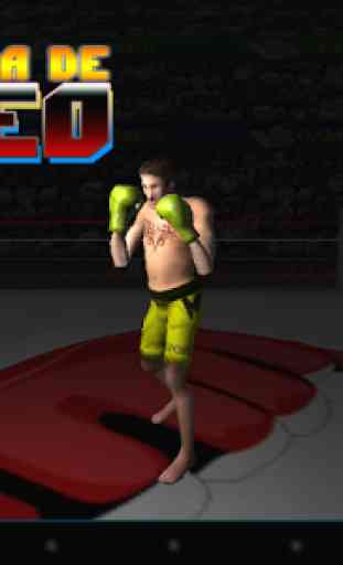 Juego de boxeo 3D 3