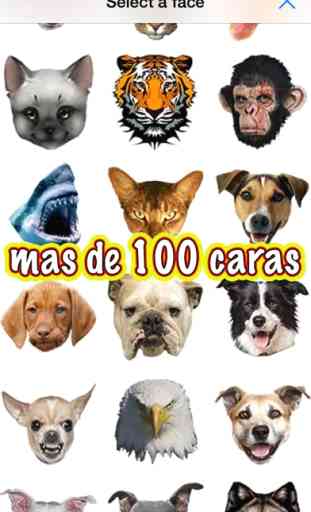 Camara Animal - Cambia tu cara con la cabeza de animales tales como: gatos, perros, osos, cerdos, lobos, peces o pajaros desde la camara 4