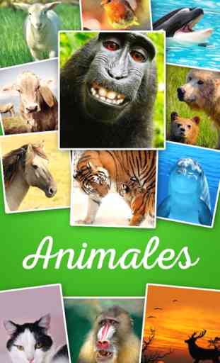 Animales Fondos de pantalla - Animal Wallpapers & Animals Backgrounds 1