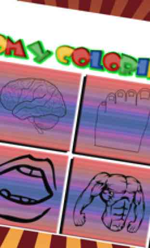 Anatomía & Fisiología juegos De Pintura Para Niños 2