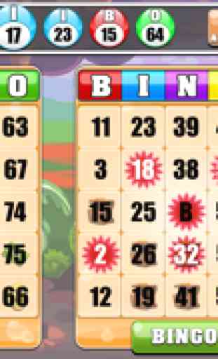 Bingo Casino ™ - Casino Bingo Gratis 3
