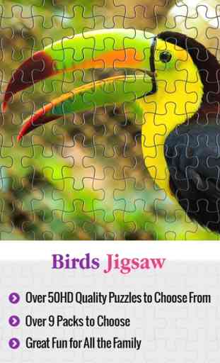 Logic Jigsaw Collection With Mind Blowing Puzzle Images 1